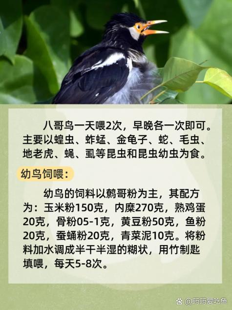 放放影院的相关介绍