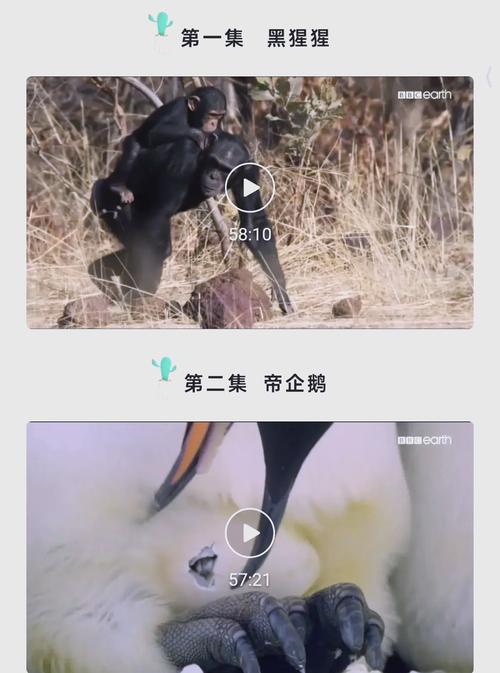 老师与学生啪啪啪的相关介绍