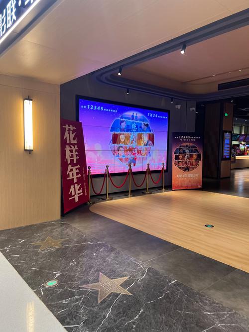 大鸡鸡影院的相关介绍