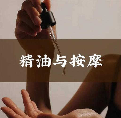 啪啪啪啪啪啪啪啪av的相关介绍