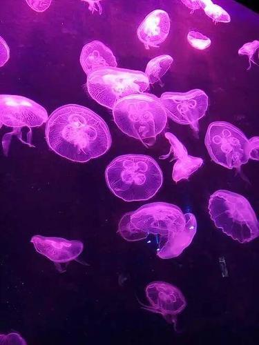 老师扒开让我太爽了一夜的相关介绍