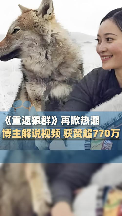 欧美熟妇乱淫的相关介绍