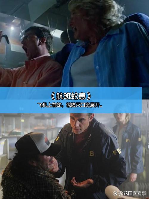 操女生出白浆的相关介绍