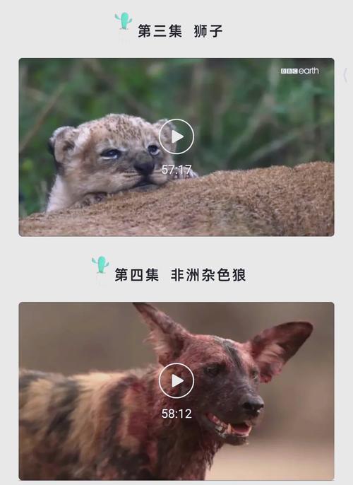 亚洲熟女少妇专区的相关介绍