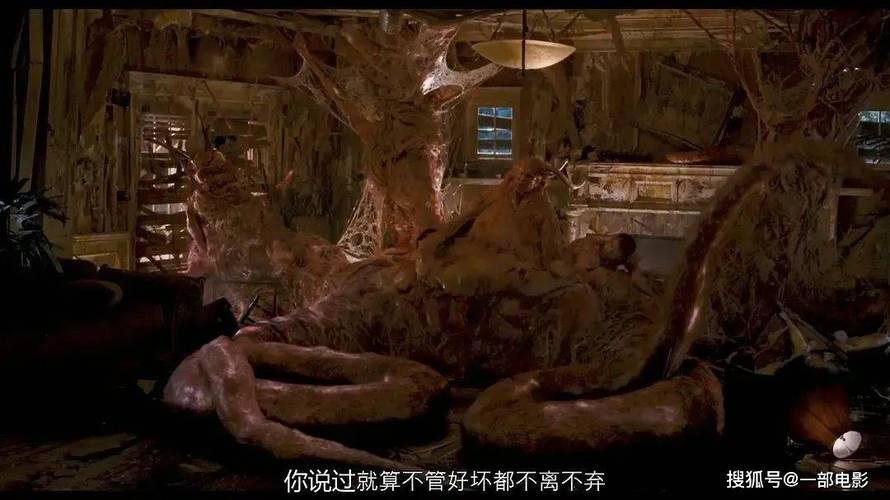 第九影院神马在线yy6080的相关介绍