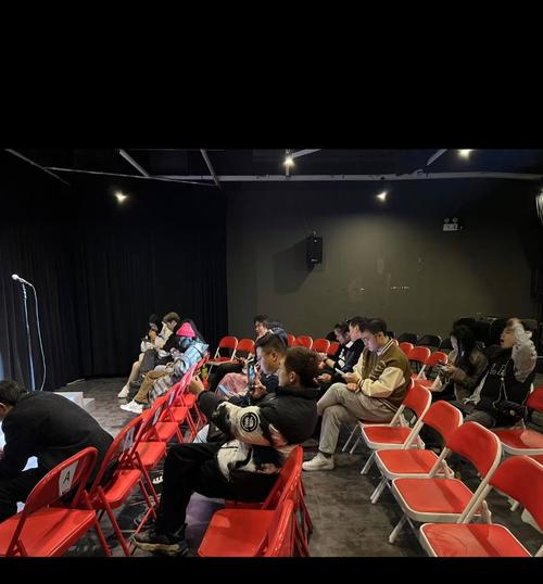 成人电影院的相关介绍