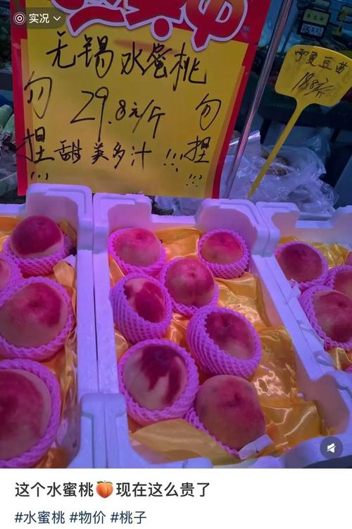 伊人久久亚洲天堂的相关介绍