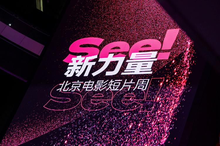 意大利伦理片.的相关介绍