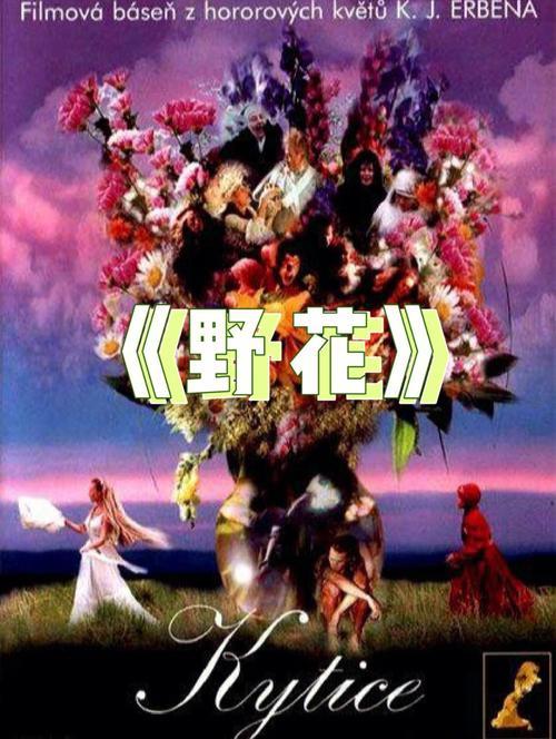 狂插啪啪啪的相关介绍