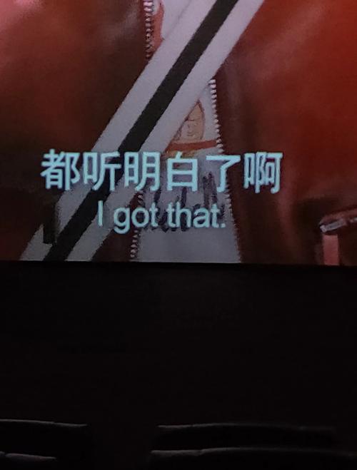 yy4480青苹果影院app扶摇的相关介绍