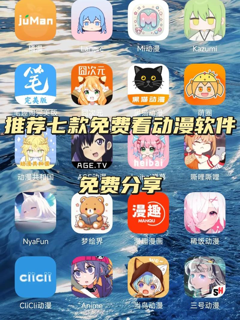 iidvd影院的相关介绍