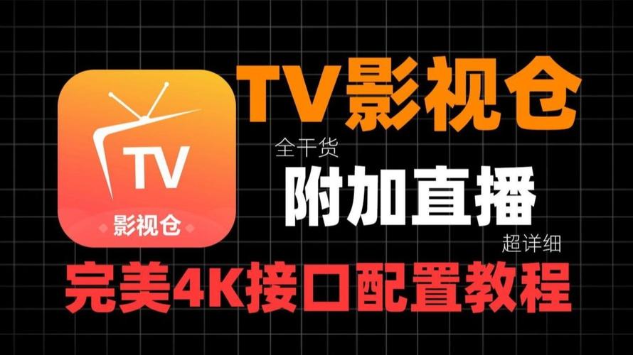 高清免费vip影院的相关介绍