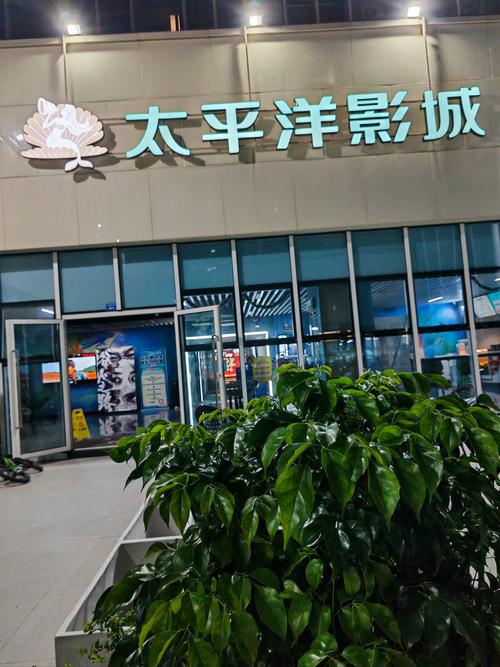 免费看女生私密部的相关介绍