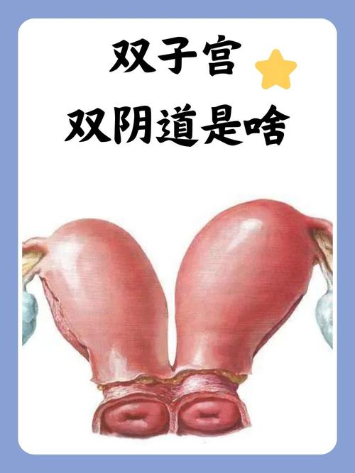 5nj策驰影院 在线观看的相关介绍