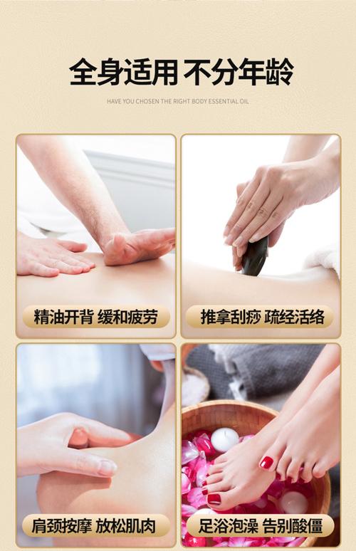 欧美成人网在线视频的相关介绍