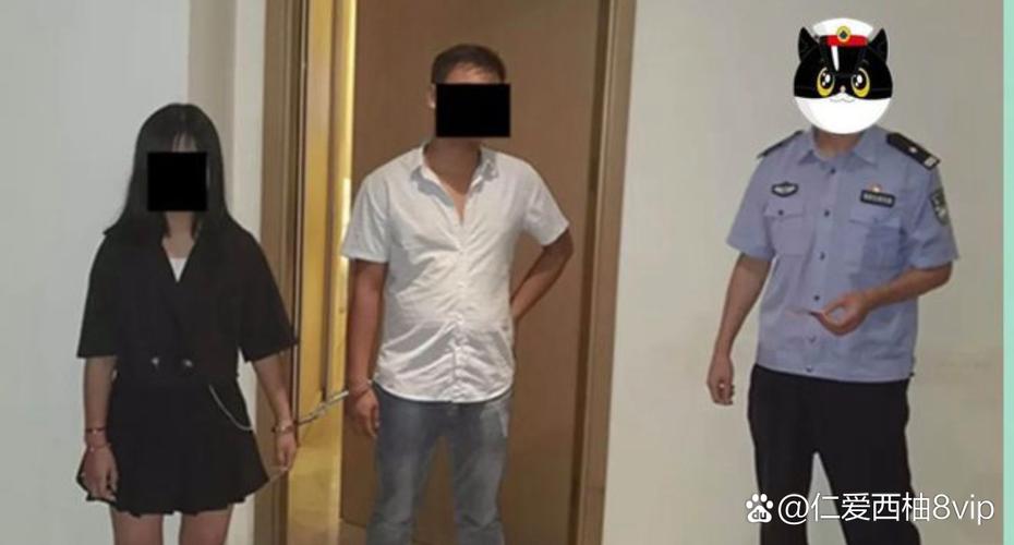 不卡手机毛片的相关介绍