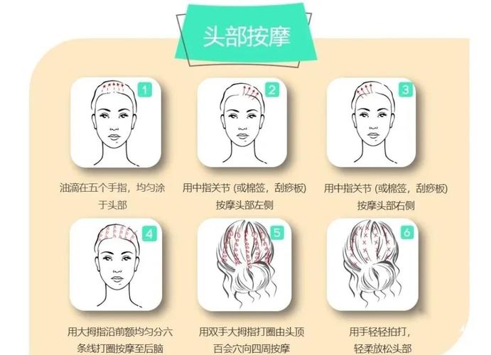 性稚嫩的小屁股眼开菊的相关介绍