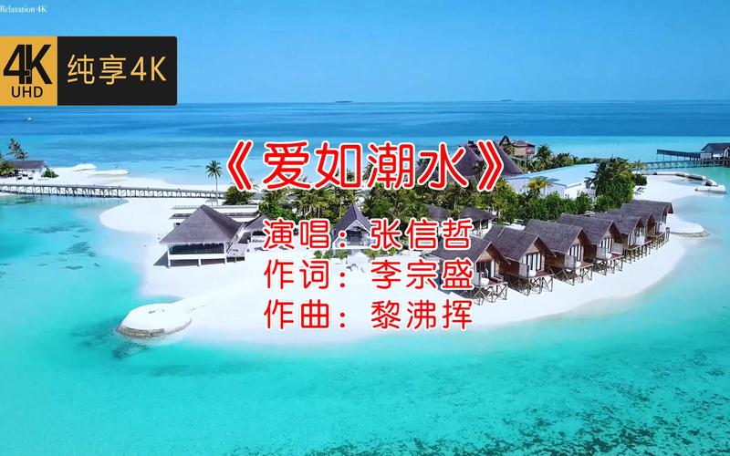 黄色熟女一级片的相关介绍