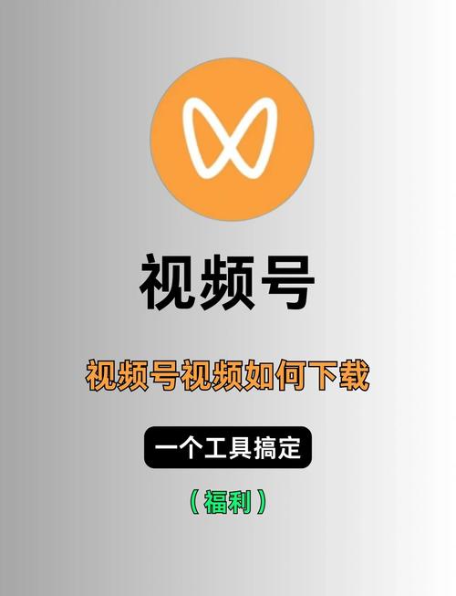 强暴高h辣文的相关介绍