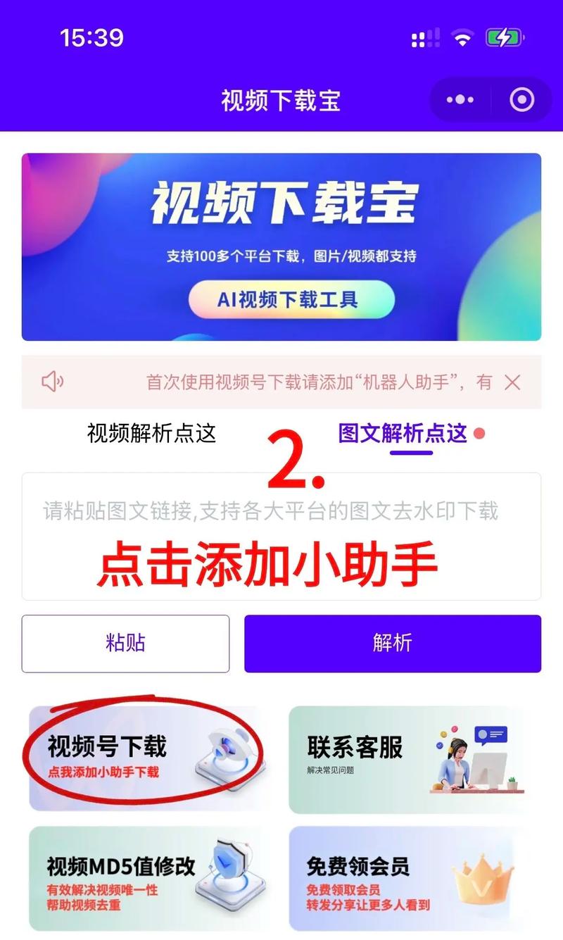 后宫电影院的相关介绍