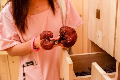 新人女秘书的相关介绍