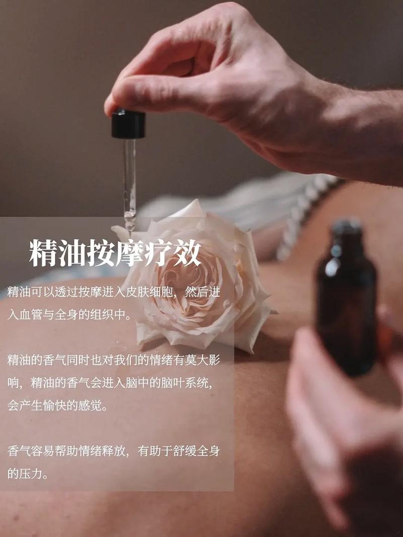 高h 调教 文的相关介绍