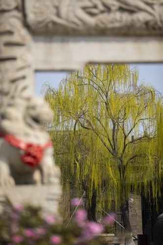 大地电影院的相关介绍