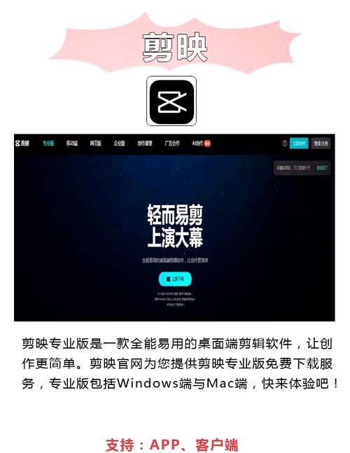 67194熟妇欧美的相关介绍