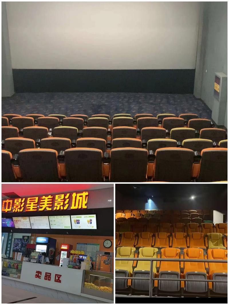 狠狠日日干在线影院的相关介绍