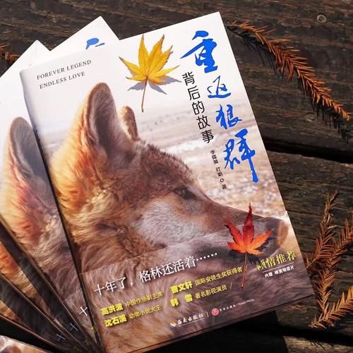 操出白浆小说的相关介绍