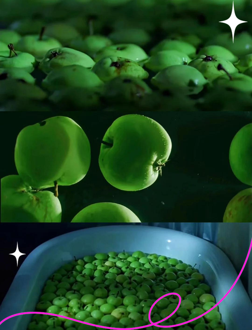 海量高清资源免费看！在线视频观看app下载推荐，支持离线缓存与极速播放（长尾关键词：视频播放器下载、手机追剧软件、免费影视APP）