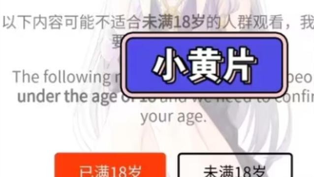 未满十八禁止观看在线观看 - 未成年人防沉迷系统与青少年健康上网指南（含年龄验证、家长监护、内容分级）