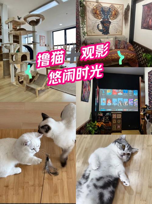 午夜av福利院的相关介绍