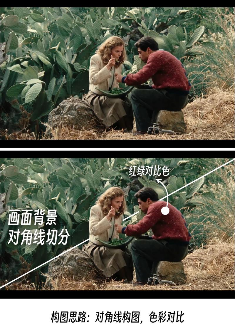 操少妇出白浆视频的相关介绍