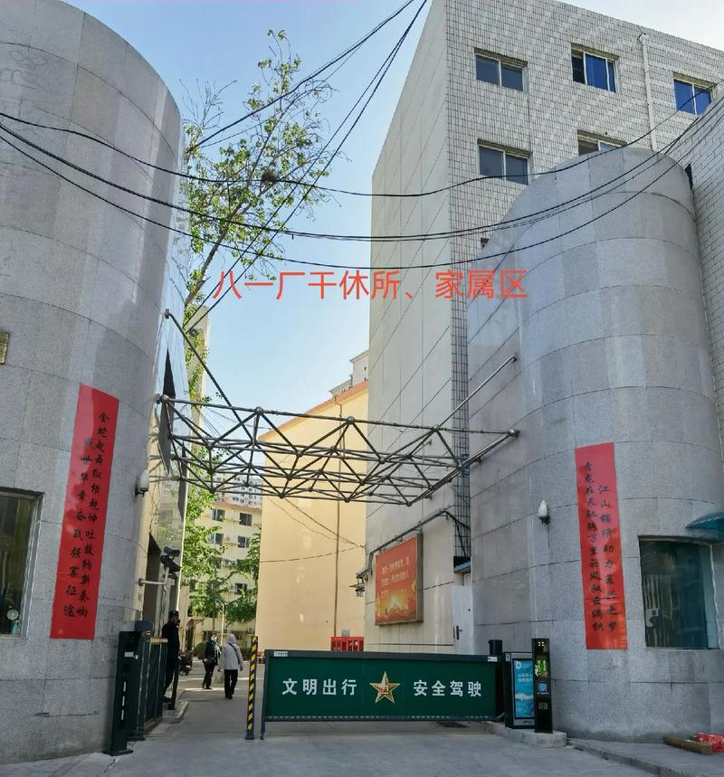 女人私处毛毛变黄是什么原因的相关介绍