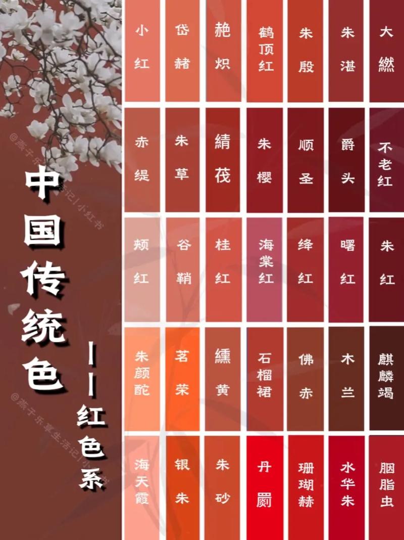 苏浩影院的相关介绍
