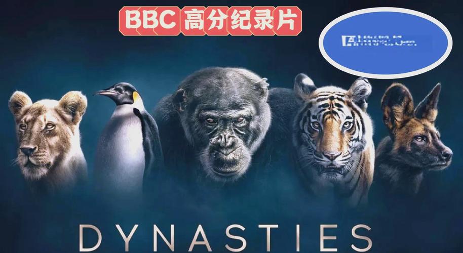 夫妻一起看毛片的相关介绍