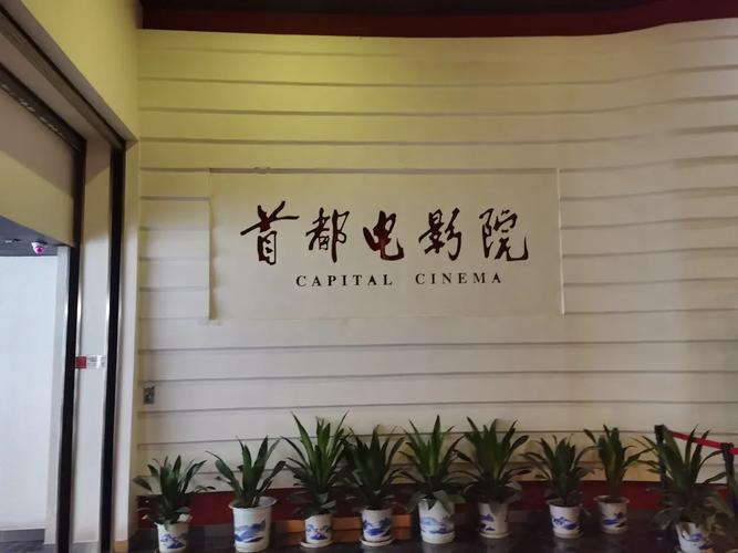 电驴影院的相关介绍