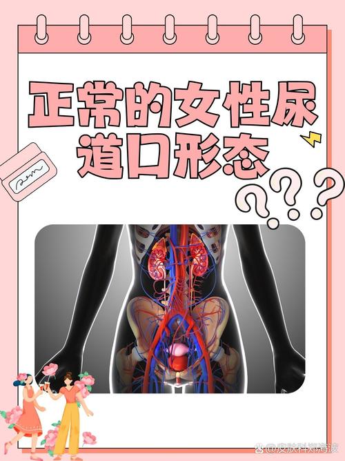 色妞www国产精品的相关介绍