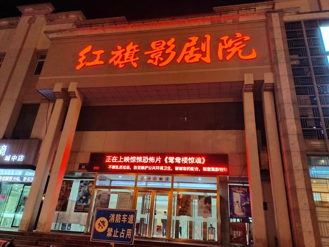 女女黄动漫的相关介绍