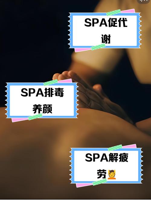 久99精品久久久久久久的相关介绍