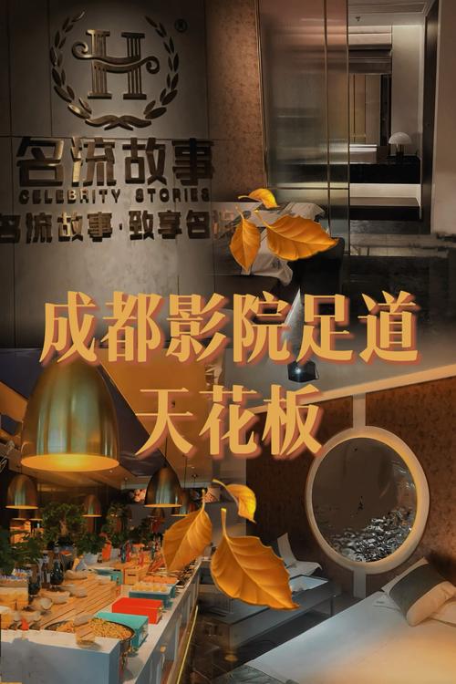 飞空精品影院的相关介绍