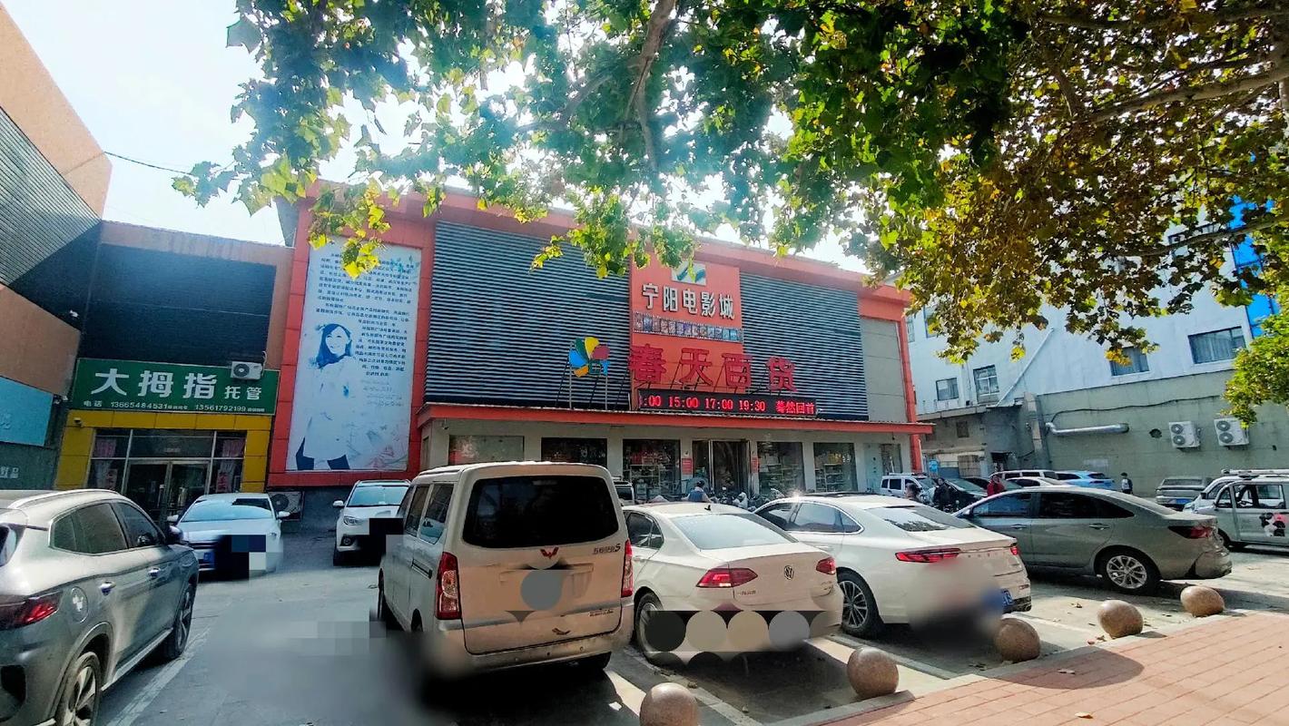 沪西电影院的相关介绍