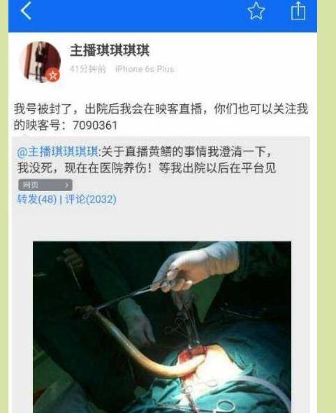 人妻高潮内射的相关介绍