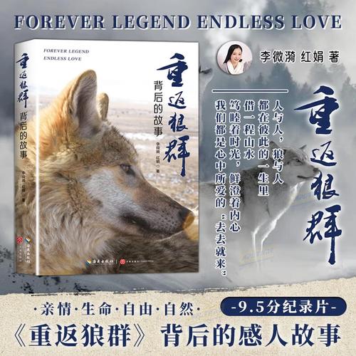 人妻性按摩电影的相关介绍
