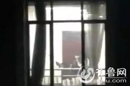 巨乳呻吟高潮的相关介绍