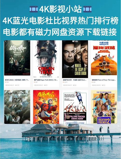 女人18在线观看的相关介绍